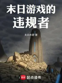 《末日游戏的违规者》小说封面