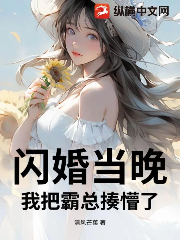 《闪婚当晚,我把霸总揍懵了》小说封面