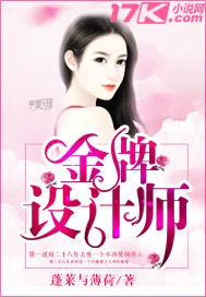 《金牌设计师》小说封面