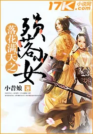 《陨落少女》小说封面