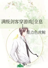 《满级剑客穿游戏[全息]》小说封面