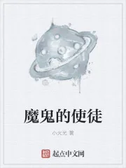 《魔鬼的使徒》小说封面