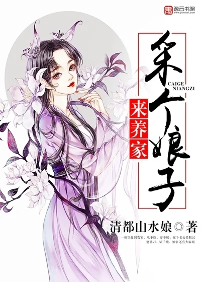《采个娘子来养家》小说封面