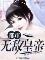 《都市无敌皇帝》小说封面