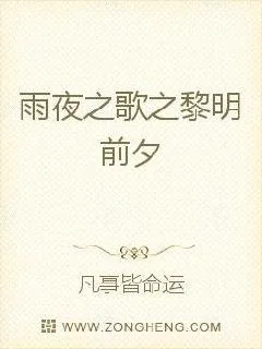 《雨夜之歌之黎明前夕》小说封面