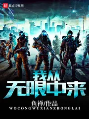 《我从无限中来》小说封面