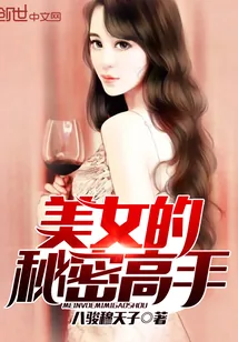 《美女的秘密高手》小说封面