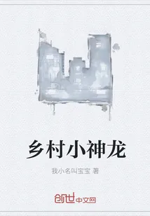《乡村小神龙》小说封面