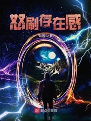 《怒刷存在感》小说封面