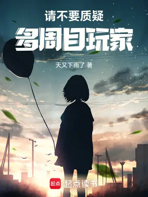 《请不要质疑多周目玩家》小说封面