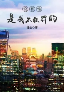 《没有谁,是我不敢罚的》小说封面