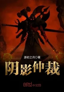 《阴影仲裁》小说封面