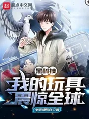 《黑科技：我的玩具震惊全球》小说封面
