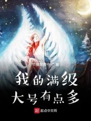 《我的满级大号有点多》小说封面