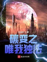 《碳变之唯我独法》小说封面