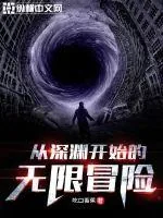 《从深渊开始的无限冒险》小说封面