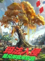 《玛法入侵：是兄弟就来砍我》小说封面