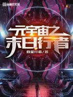《元宇宙之末日行者》小说封面