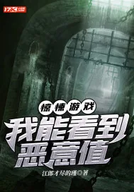 《惊悚游戏:我能看到恶意值》小说封面
