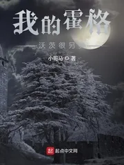 《我的霍格沃茨很另类》小说封面