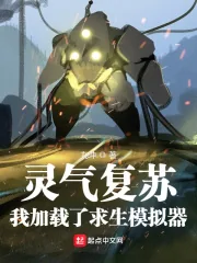 《灵气复苏：我加载了求生模拟器》小说封面