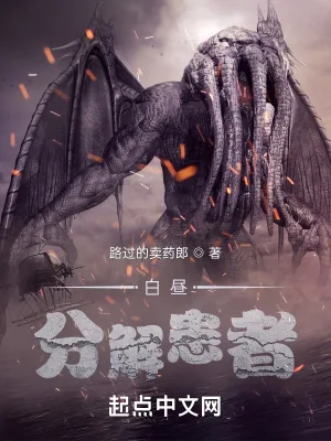 《白昼分解患者》小说封面