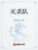 《圣光余烬》小说封面