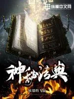 《神秘法典》小说封面