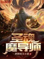 《圣魂魔导师》小说封面