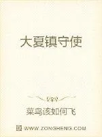 《大夏镇守使》小说封面