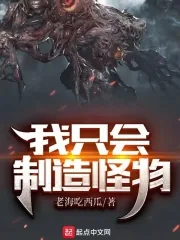 《我只会制造怪物》小说封面