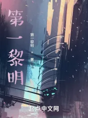 《第一黎明!》小说封面