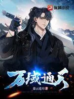 《万域通天》小说封面