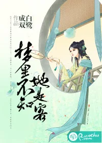 《梦里不知她是客》小说封面