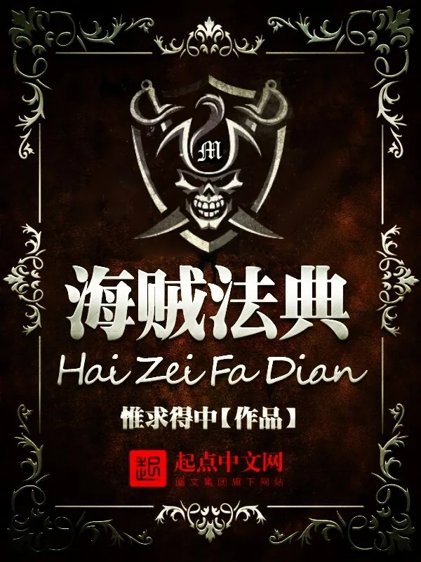 《海贼法典》小说封面
