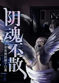 《阴魂不散》小说封面