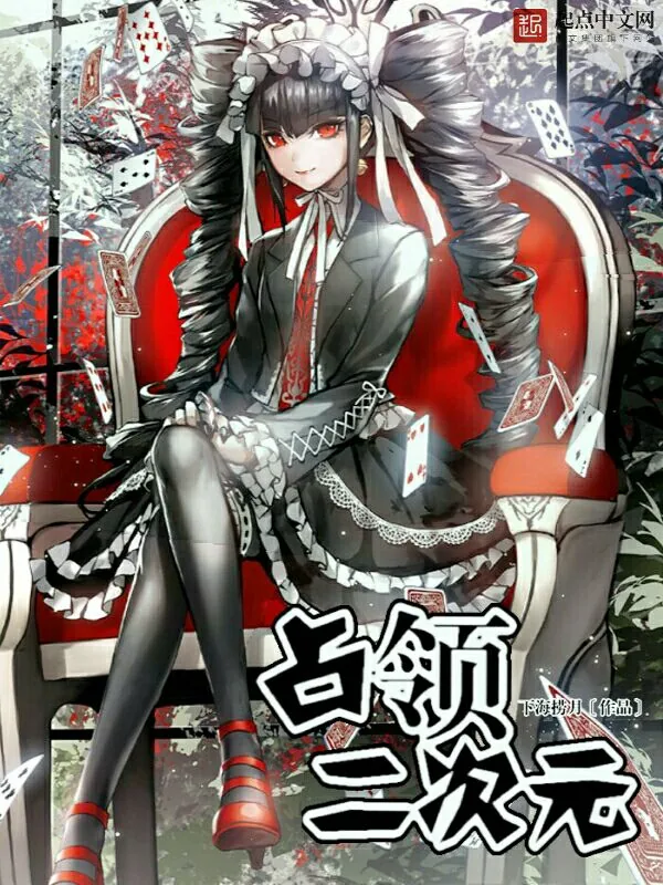《占领二次元》小说封面