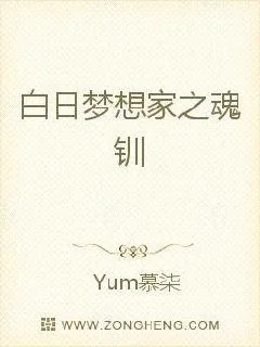 《白日梦想家之魂钏》小说封面