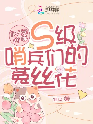 《万人迷向导:S级哨兵们的菟丝花》小说封面