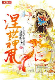 《涅世神凰》小说封面