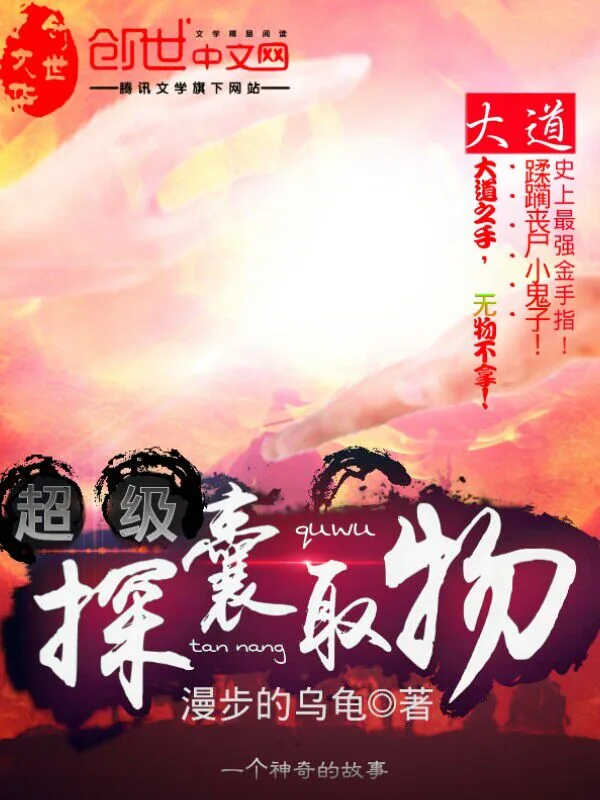 《超级探囊取物》小说封面