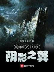 《光明之下的阴影之翼》小说封面