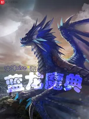 《蓝龙魔典》小说封面