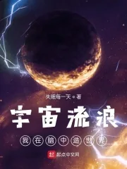 《宇宙流浪:我在脑中造世界》小说封面