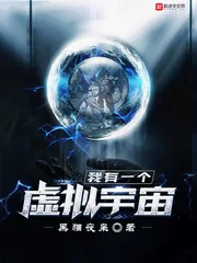 《我有一个虚拟宇宙》小说封面