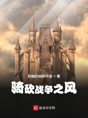 《骑砍战争之风》小说封面