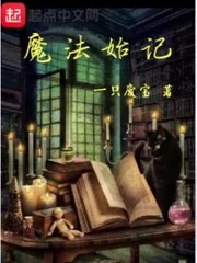 《魔法始记》小说封面