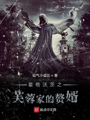 《霍格沃茨之芙蓉家的赘婿》小说封面