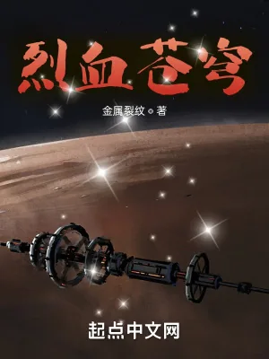 《烈血苍穹》小说封面