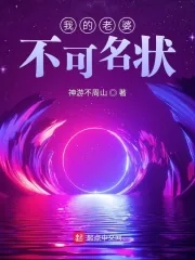 《我的老婆不可名状》小说封面